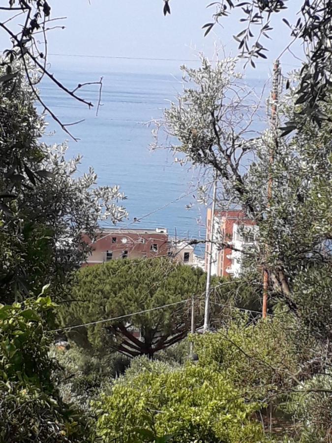 לאווניה Tigullio Vacations Panoramica Apartments מראה חיצוני תמונה